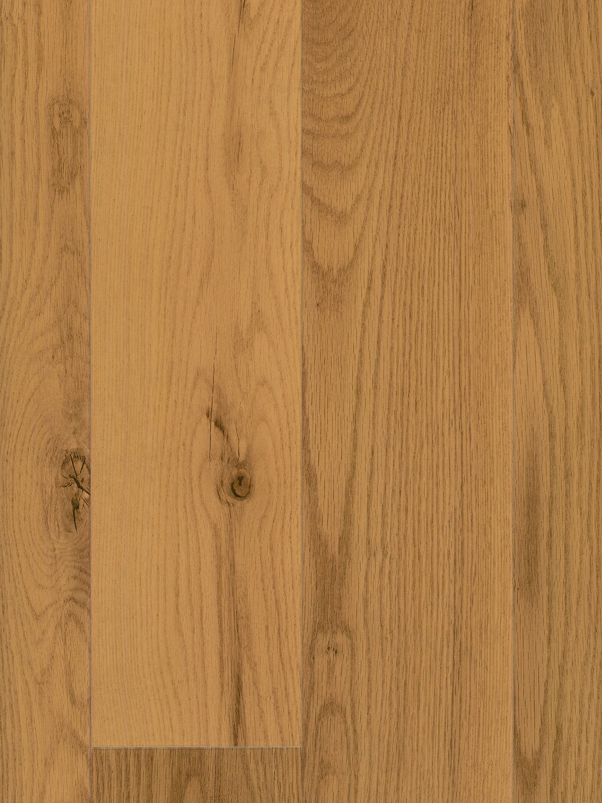 Natural Red Oak High Gloss