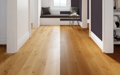 Minimalism vs Maximalism